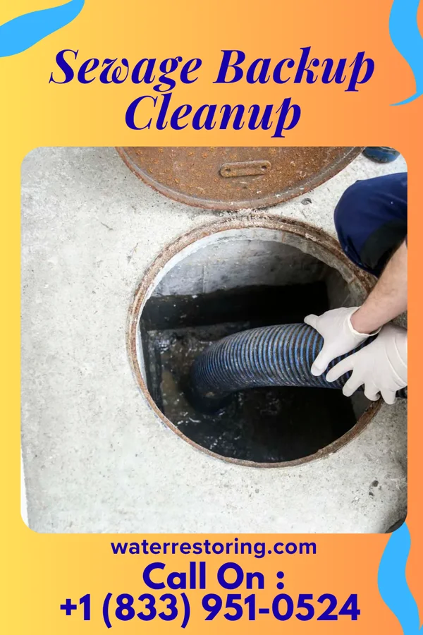 Sewage Backup Cleanup in Oak Grove, MS